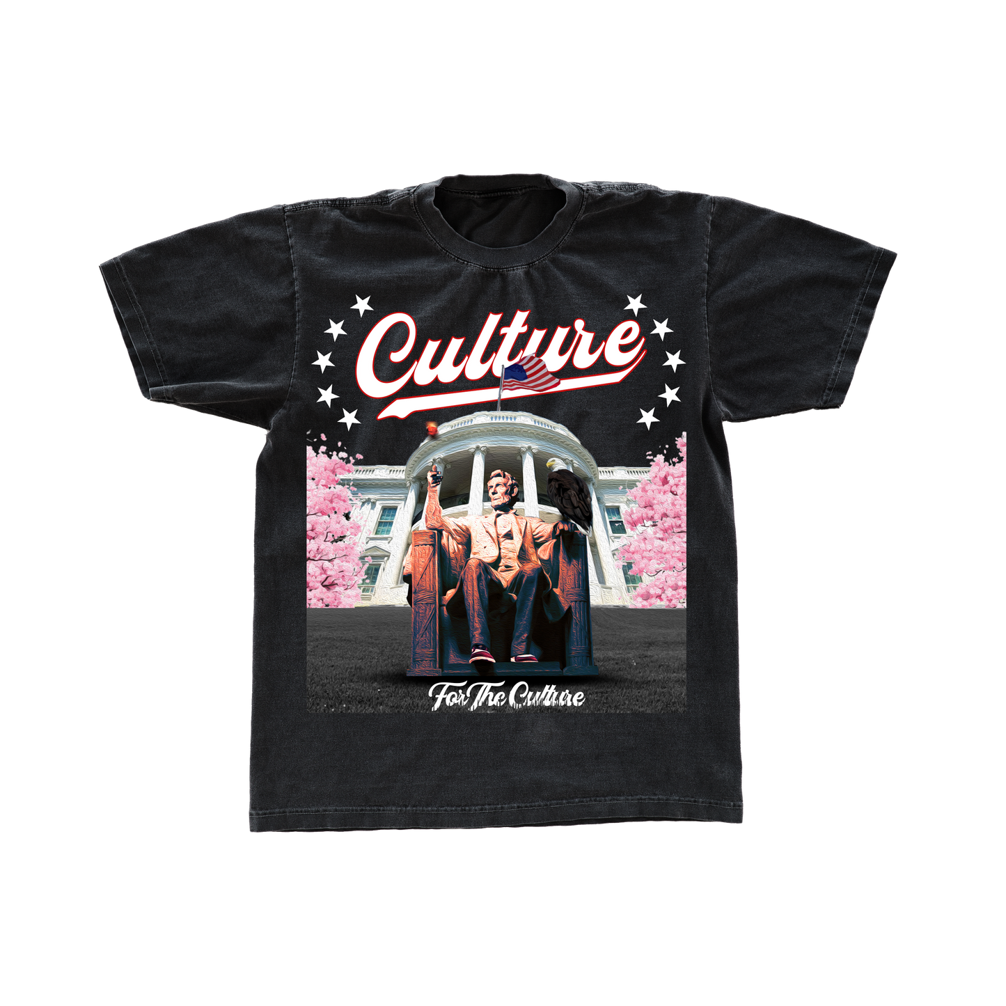 DC CULTURE TEE SHIRT